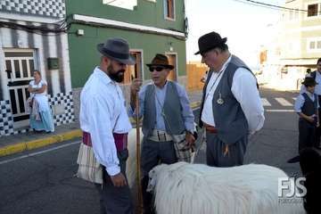 Alegre y participativa romería en El Ejido (Foto FJ Santana y TF)